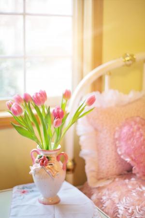郁金香, 粉色, 床上, 早上, 春天, 花香, 花束