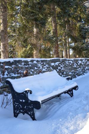 板凳, 冬天, 赛季, 座位, 感冒, 雪, 户外