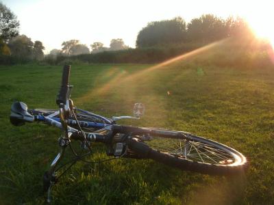 骑自行车, 自行车, 周期, 自行车, 体育, 户外, 日落