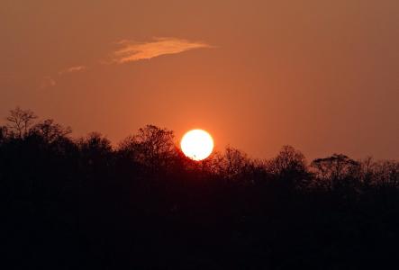 日落, 发光, 森林, tattihallia, 卡纳塔克, 印度, 自然