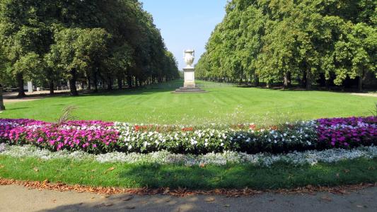 pillnitz, 德累斯顿, 城堡公园, 花, 纪念碑, 感兴趣的地方