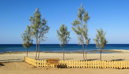 塞浦路斯, 圣纳帕阿基亚特里亚达, 海滩, 树木, 栅栏, 风景名胜