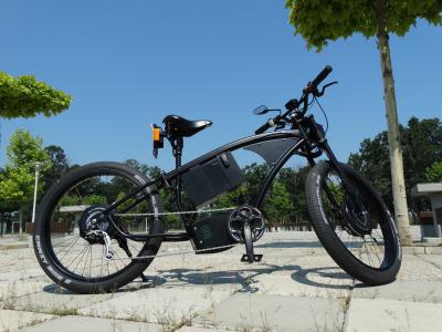 自行车, 电动车, 公园, 电动自行车