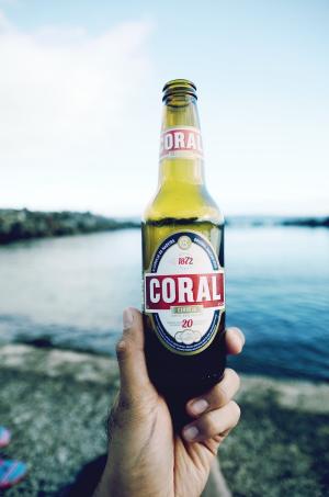 饮料, 啤酒, cerveja, 珊瑚, 水, 人, 男子