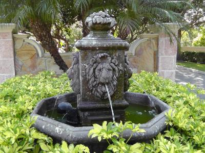 喷泉, 水, 狮子, 佛罗里达州, 户外, 流量, 建筑