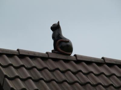猫, 德科, 屋顶, 图, 装饰