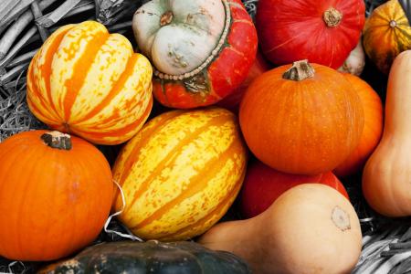 农业, 秋天, 多彩, 作物, 秋天, 食品, 新鲜
