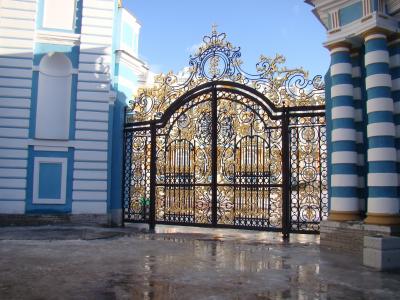 宫殿合奏 tsarskoe selo, 俄罗斯, 门, 模式, 格栅, 冬天, 太阳