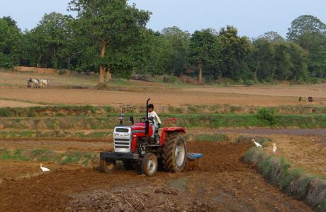 拖拉机, 分蘖, 耕, 设备, 农业, 卡纳塔克, 印度