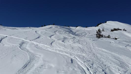 滑雪跑道, 痕迹, 雪, 越野滑雪, 滑雪, 旅游, 冬季运动
