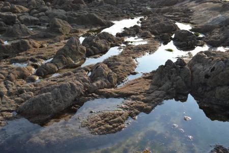 泽西岛, 岩石, 游泳池, 水, 自然, 海边, 海