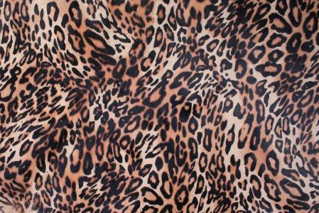 一只豹, 皮革, 千叶县, 皮革纹理, 纹理, 动物, 动物皮