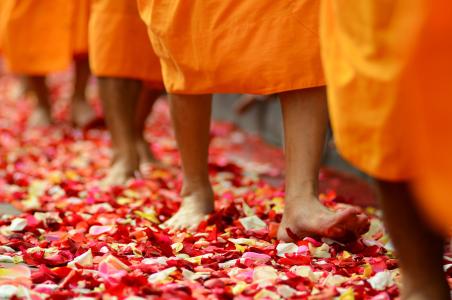 佛教, 和尚, 佛教徒, 步行, 玫瑰花瓣, 橙色, 长袍