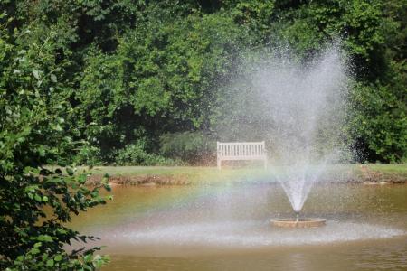 彩虹, 喷泉, 水, 花园, 喷雾, 自然