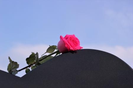 粉红色的玫瑰, 心脏墓碑, 爱, 想念你