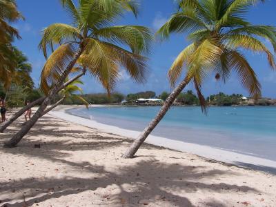 海滩, 马提尼克岛, 加勒比海, 法语, 旅游, 天空, 水