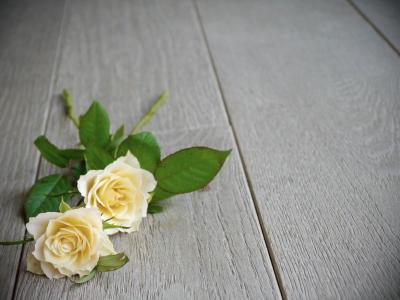 玫瑰, 束玫瑰花, 花束, 白色, 黄色, 顶视图, 浪漫