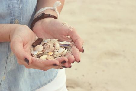 手, 贝壳, 海滩, 沙子, 指甲油, 人类的手, 户外