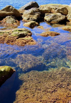 岩石, 悬崖, 透明, 水, 海, 清除, 哥斯达黎加