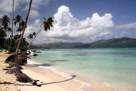 海滩, 棕榈, 加勒比海, 多米尼加共和国, 白色的沙滩, 白色的沙滩, 沙滩