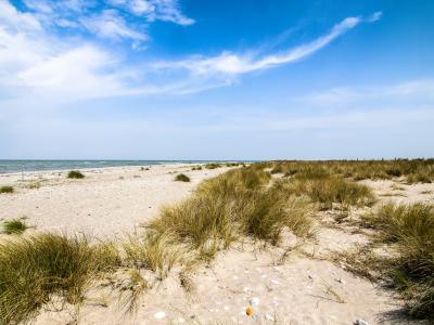 景观, 自然, 波罗地海, 海滩, 海, 沙子, 海岸线