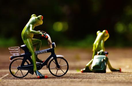 青蛙, 告别, 自行车, 小车, 旅行, 可爱, 青蛙