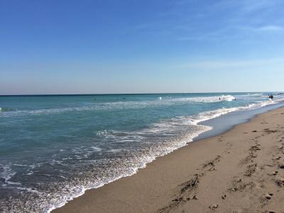海滩, 博卡拉顿, 佛罗里达州, 海, 沙子, 海岸线, 自然