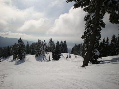 雪, 滑雪山, 滑雪, 冬天, 冬季运动, 自然, 外面
