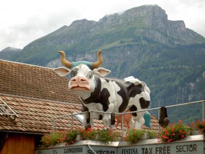 母牛, 雕塑, 瑞士, 布里恩茨