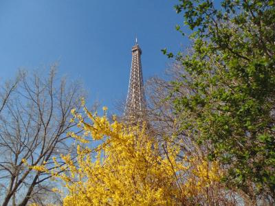 巴黎, 周末, 法国, 托雷, 埃菲尔铁塔