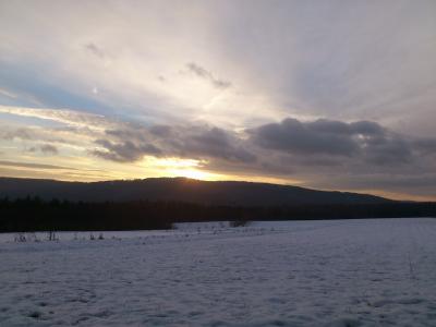 westerwald, 白霜, 成熟, 冬日清晨, 冬天, 云计算, 冬日的阳光