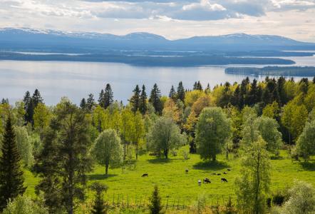 景观, 山, 瑞典, 视图, 自然, 水, 大湖