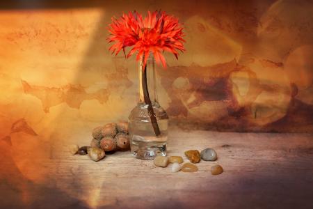 花, 塑料花, dekoblume, 橙色, 石头, 装饰的石头, 花瓶