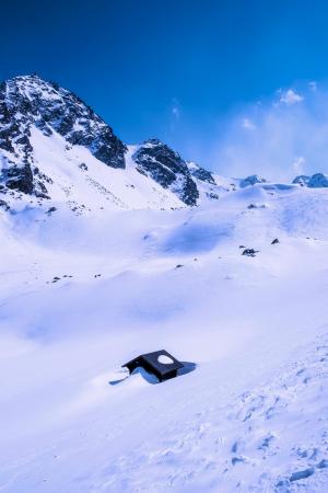 瑞士, 景观, 冬天, 雪, 冰, 感冒, 山脉
