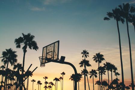 篮板, 背光, 篮球板, 篮球圈, 椰子树, 黎明, 黄昏