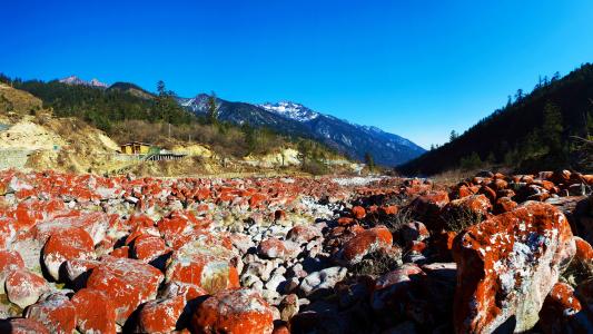 红色的岩石海滩, 红石公园, 快活的橙色藻类, 海螺沟, 山, 蓝色, 体育场