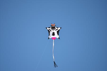 放风筝, 母牛, 动物, 天空, 乳房, 牛动物, 蓝色