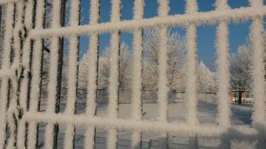 栅栏, 弗罗斯特, 冰, 感冒, 冬天, 雪, 冻结