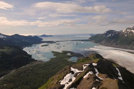 熊冰川, 景观, 海洋, 冰, 雪, 水, 基奈峡湾国家公园