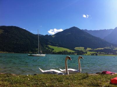 walchsee, 湖, 奥地利, 景观, 天空, 自然, 山脉