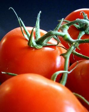 西红柿, 蔬菜, 健康, 红色, 食品, 美味, 弗里施