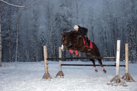 马, 体育, 女, 冬天