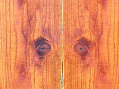 木材的背景, 木材, 背景, 栅栏, 眼睛, 木栅栏, 纹理