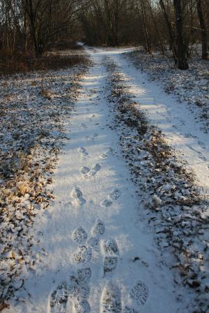 路径, 曲目, 雪, 步行, 冬天, 跟踪, 足迹足迹