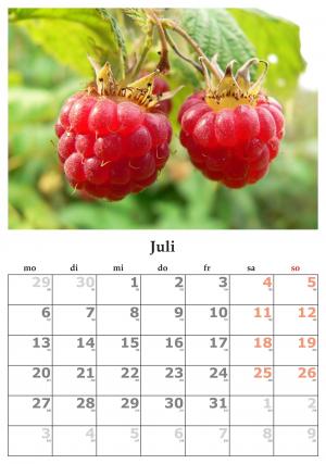 日历, 个月, 7 月, 2015年7月