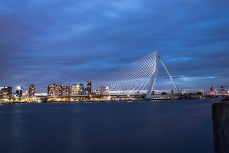 鹿特丹, 反思, 港口, 晚上, 水, 荷兰, 建筑