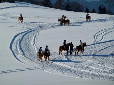雪, 山, 马, 冬天, 骑马, 自然, 白色