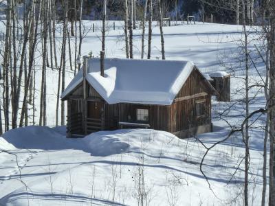 冬天, 赛季, 雪, 感冒, 老木屋, 建设, 小木屋