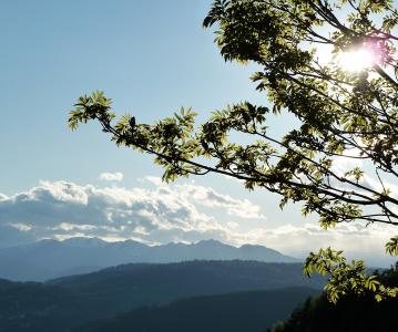 高山, 树, 蓝色, 云计算, 白天, 夏时制, 欧洲