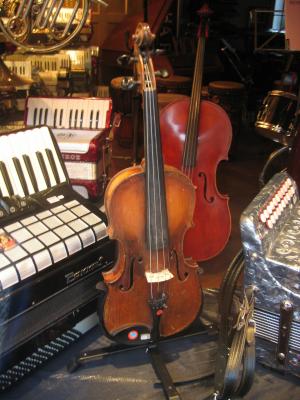 小提琴, 手风琴, 出售, 乐器, 声音, 音乐, 音乐商店